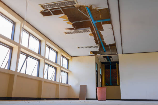 Best Water damage restoration experts  in West Columbia, SC