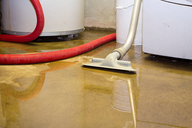 Best Flood damage cleanup  in West Columbia, SC