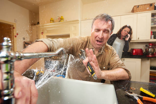 Best Ceiling water damage repair  in West Columbia, SC